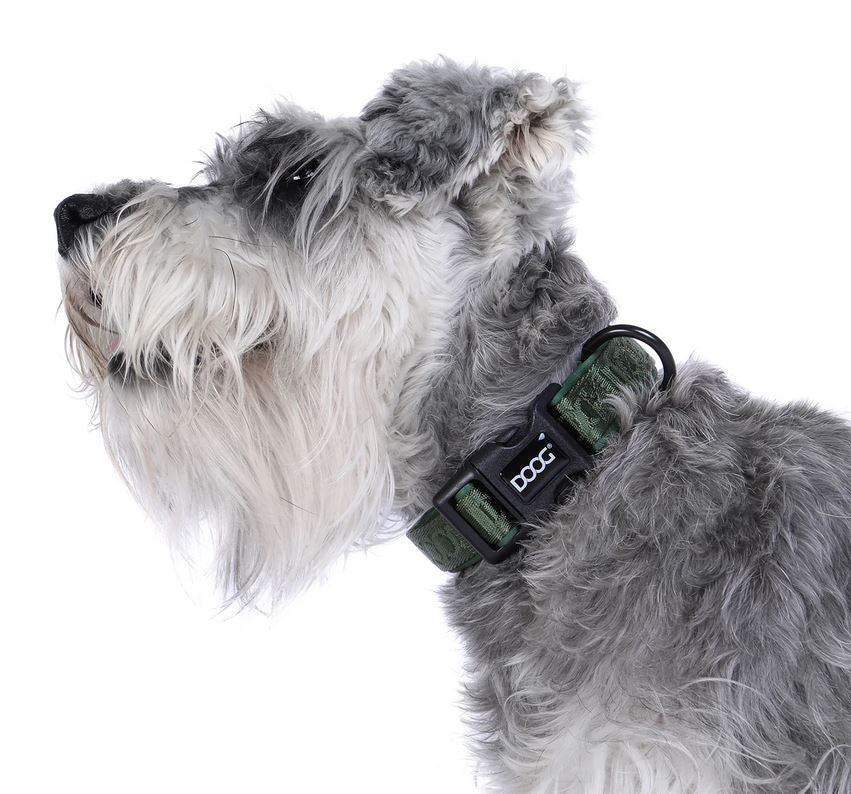 Doog Dog Collar Neosport Neoprene Green [:extra Small]
