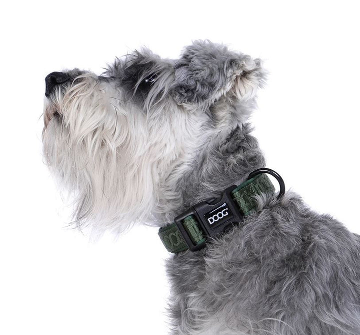 Doog Dog Collar Neosport Neoprene Green [:extra Small]
