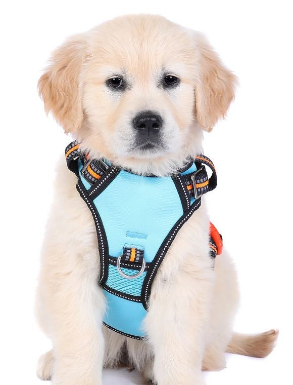 Doog Harness Neotech Neon Beethoven [:small]
