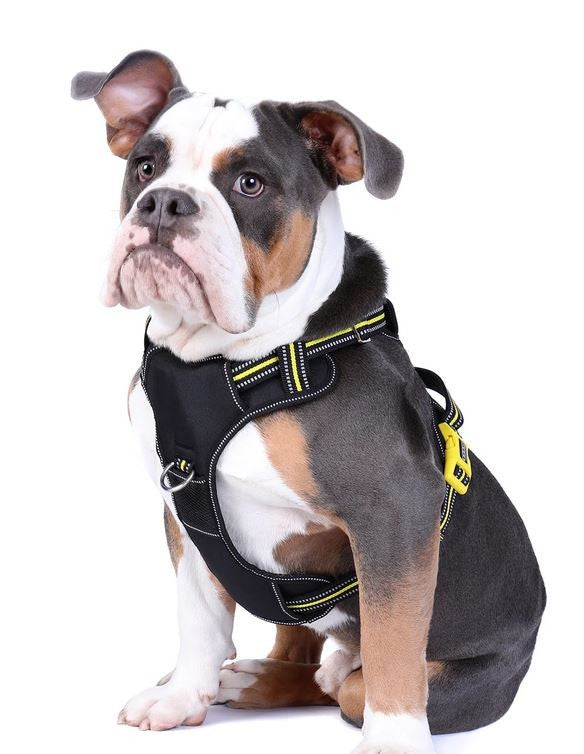 Doog Harness Neotech Neon Bolt [:small]