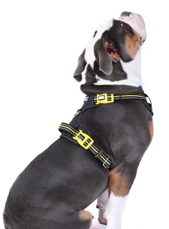 Doog Harness Neotech Neon Bolt [:small]