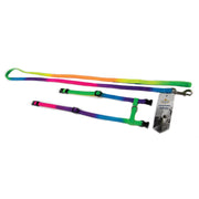 Cat Harness & Leash Prestige Rainbow 3/8" Adjustable