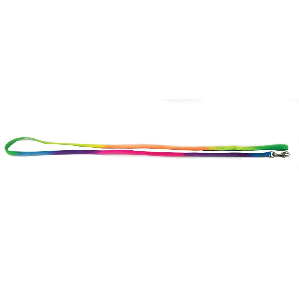 Cat Harness & Leash Prestige Rainbow 3/8" Adjustable