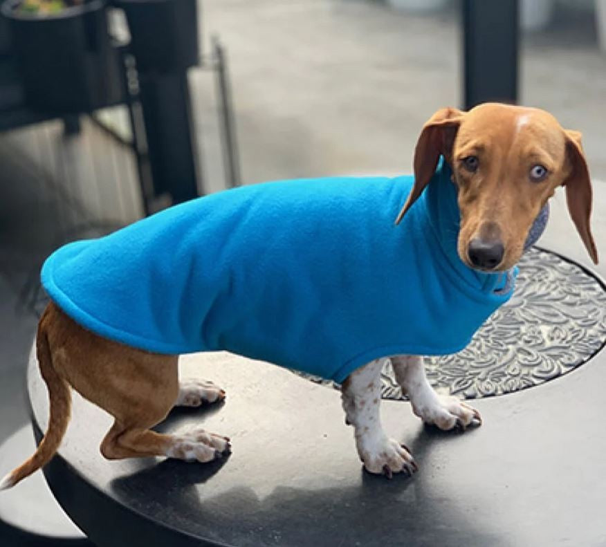 K9 Dog Rug Long Neck Dachshund Style Turquoise Blue [:30cm]