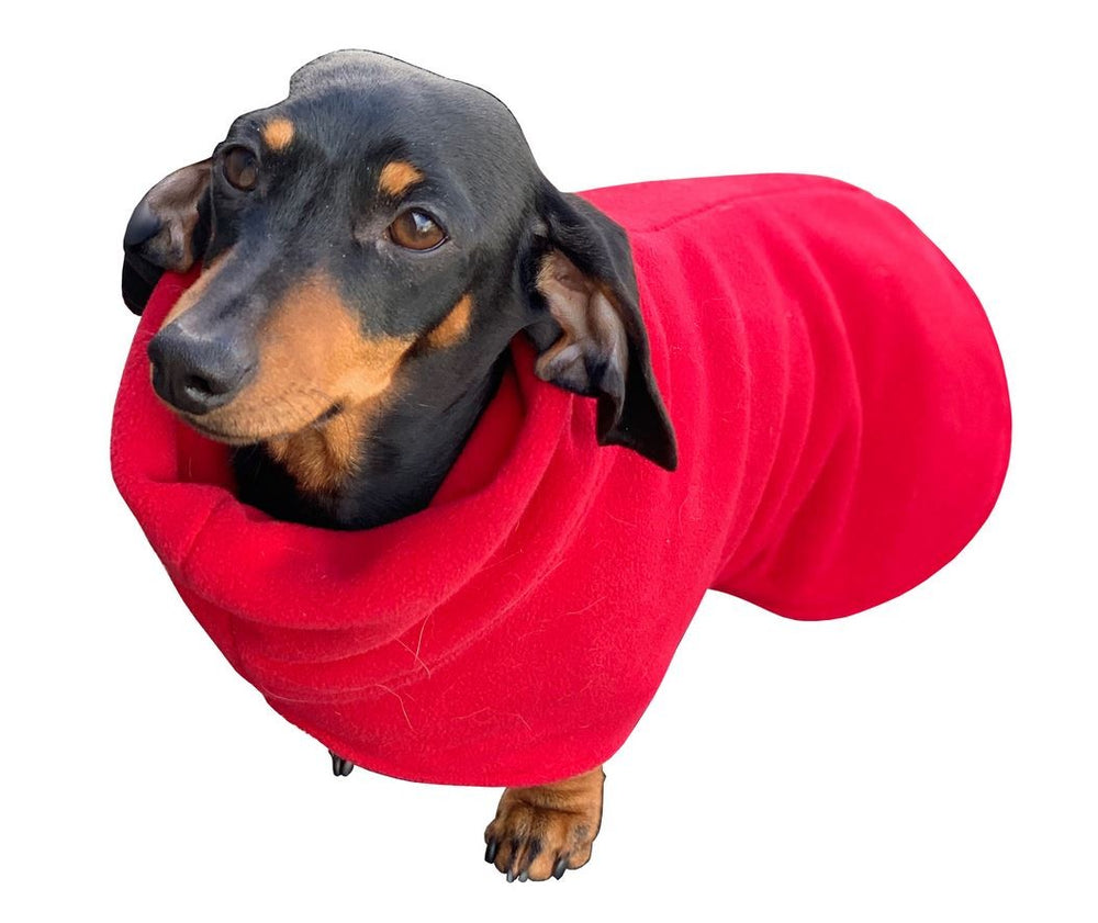 K9 Dog Rug Long Neck Dachshund Style Turquoise Blue [:30cm]