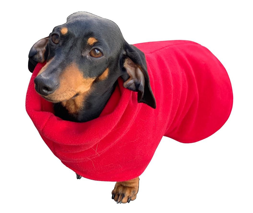 K9 Dog Rug Long Neck Dachshund Style Turquoise Blue [:30cm]