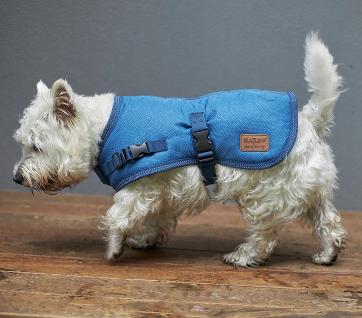 Kazoo Dog Rug Adventure River [:27.0cm]