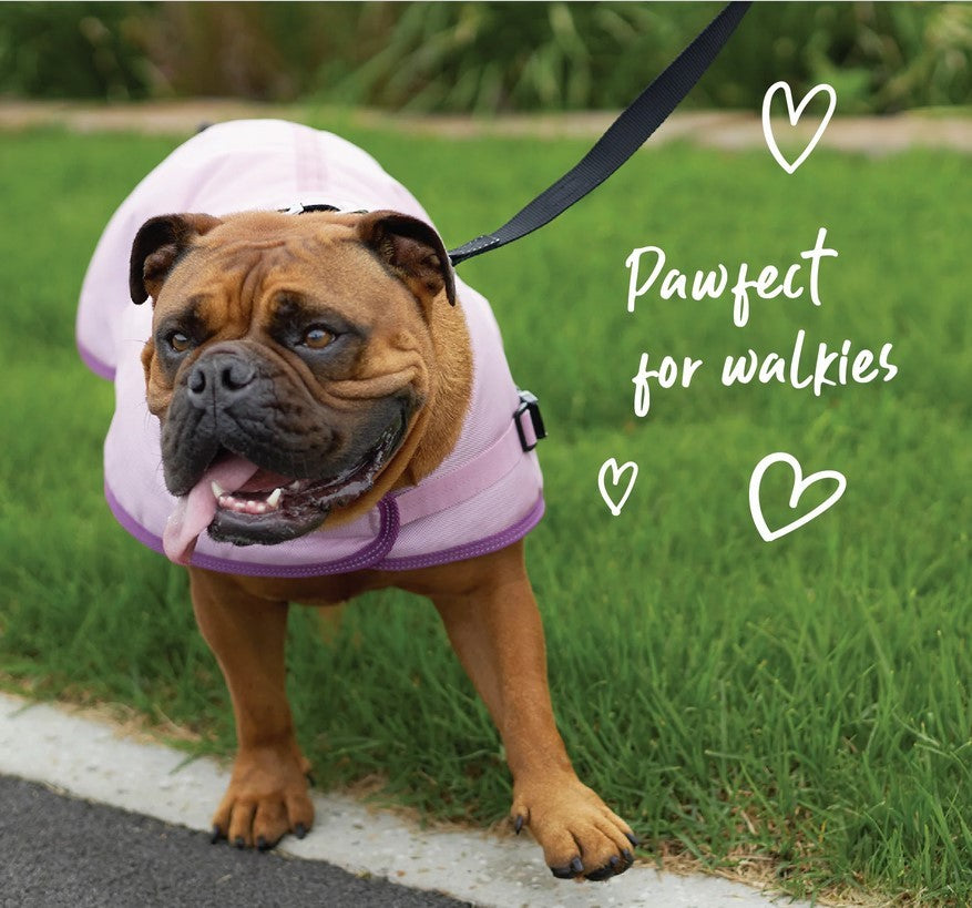 Kazoo Dog Rug Eco Adventure Quartz [:33.5cm]