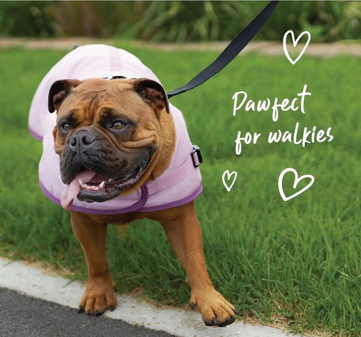 Kazoo Dog Rug Eco Adventure Quartz [:33.5cm]