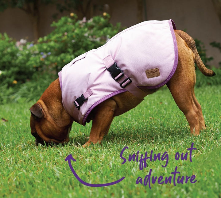 Kazoo Dog Rug Eco Adventure Quartz [:33.5cm]