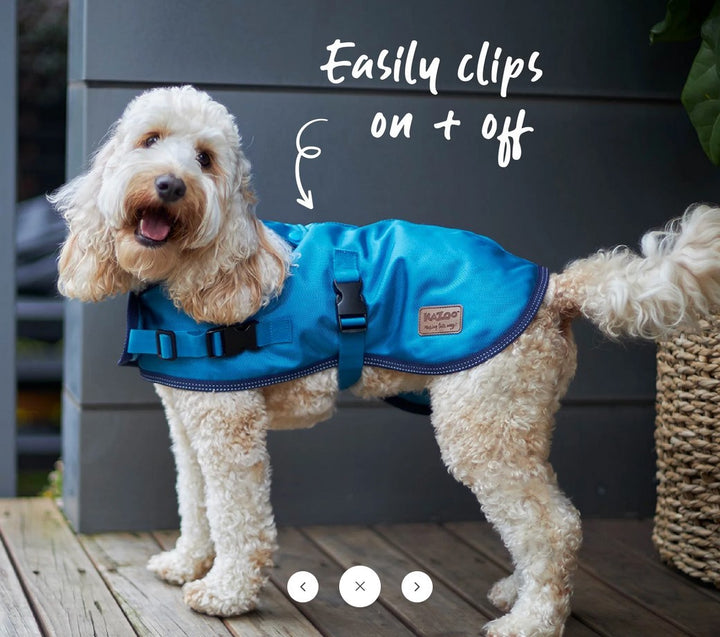 Kazoo Dog Rug Eco Adventure Ocean [:33.5cm]