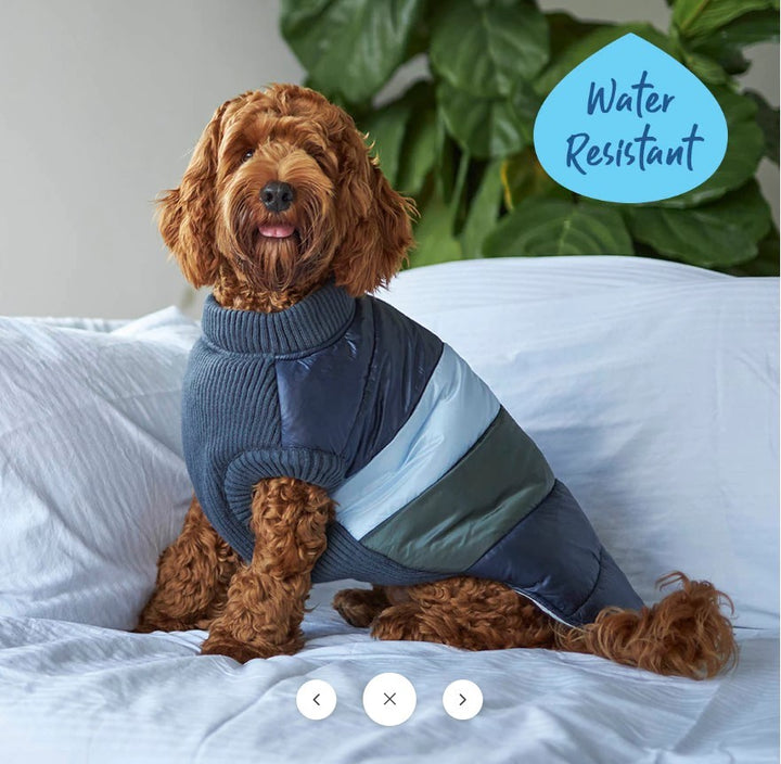 Kazoo Dog Rug Vovo Puffer Seabreeze [:27.0cm]