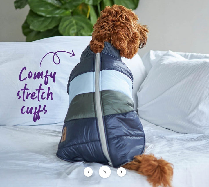 Kazoo Dog Rug Vovo Puffer Seabreeze [:27.0cm]