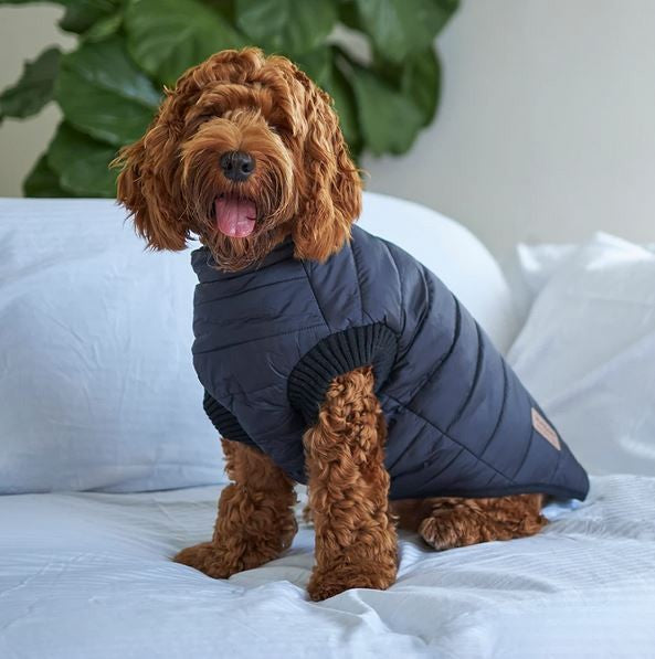 Kazoo Dog Rug Reversible Puffer Black & Silver [:27cm]