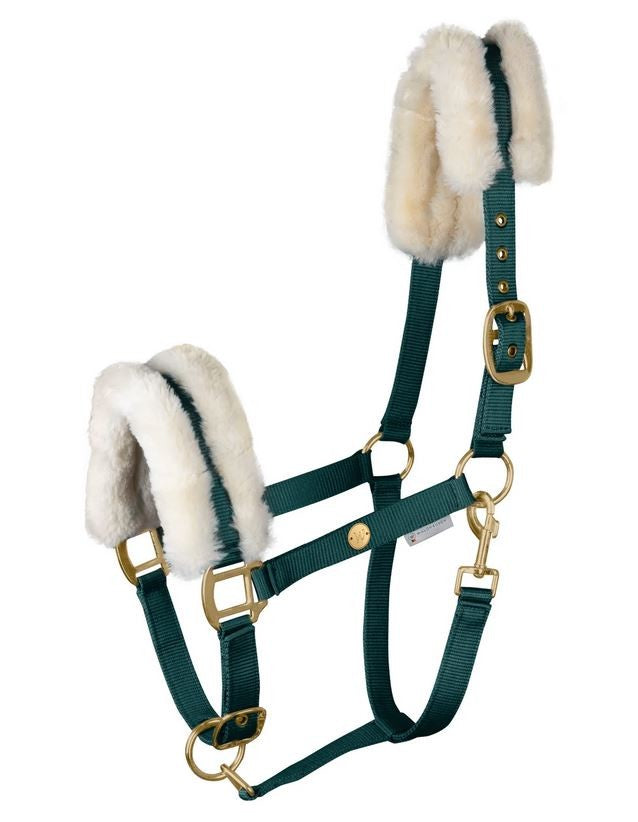 Headstall Waldhausen Modern Rose Fir Green [:cob]