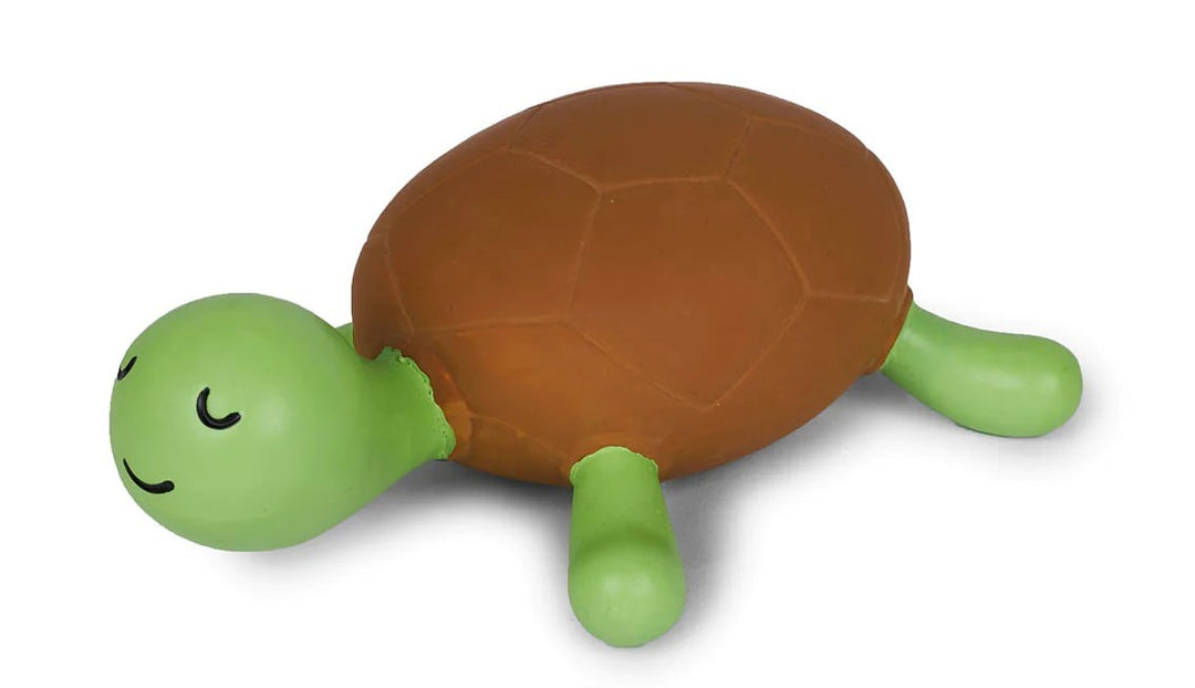 Kazoo Dog Toy Chomp The Turtle Medium
