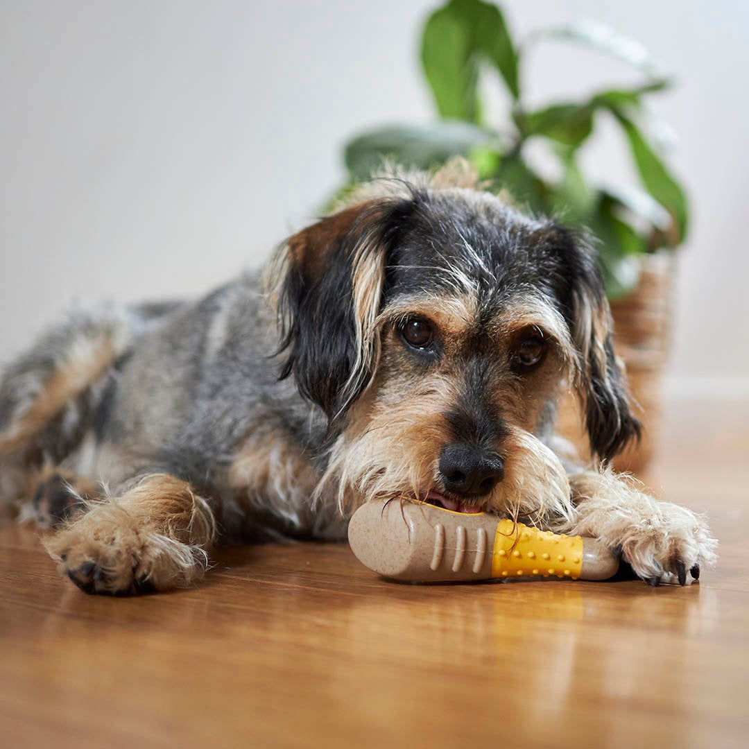Kazoo Dog Toy Tough N Tasty Chew Bone Chicken