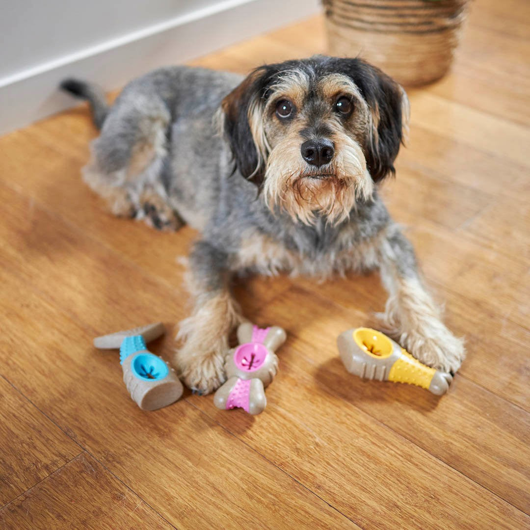 Kazoo Dog Toy Tough N Tasty Chew Bone Chicken