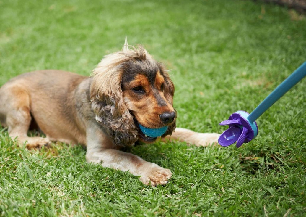 Kazoo Dog Toy Ball Thrower Adjustable Eco Friendly