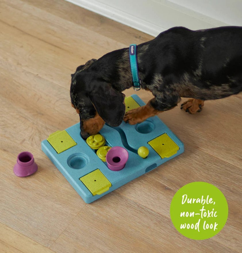Kazoo Dog Toy Interactive Puzzle Play Rectangle Rumble