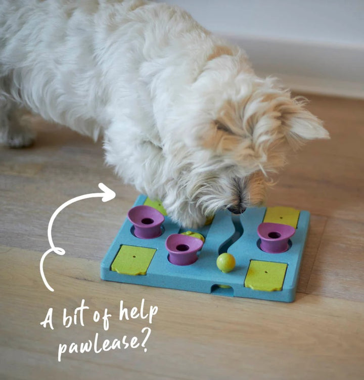 Kazoo Dog Toy Interactive Puzzle Play Rectangle Rumble