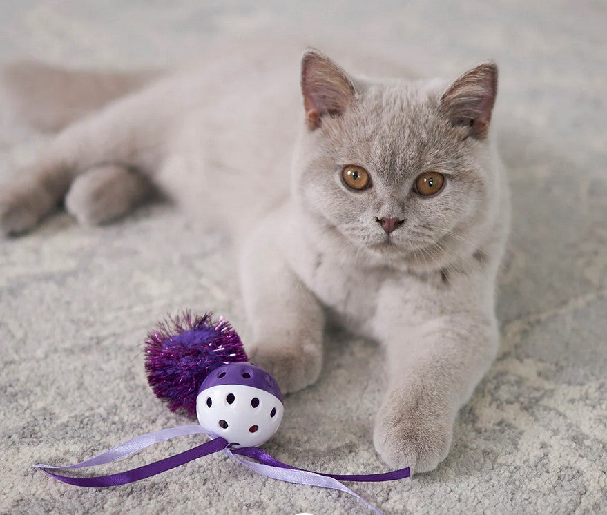 Cat Toy Kazoo Kitty Streamer Ball