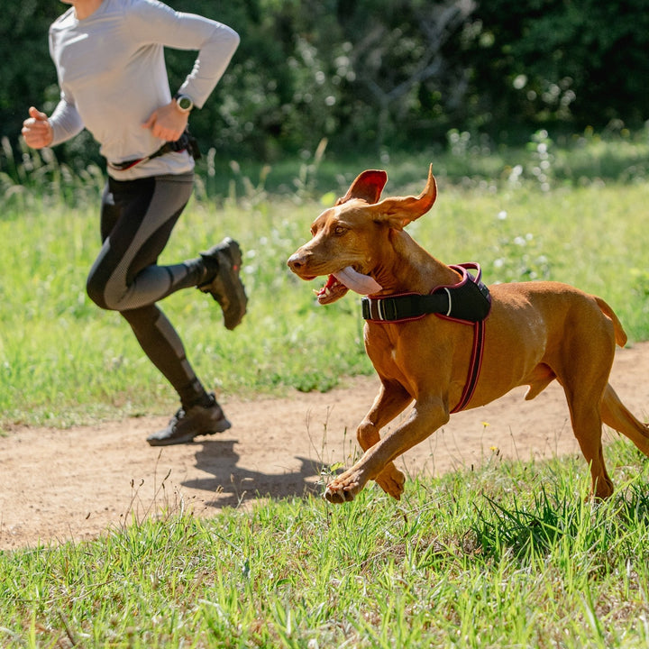 Rogz Airtech Sport Harness Burnt Ochre [:small]
