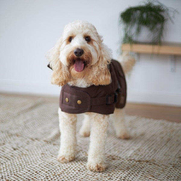 Kazoo Dog Rug Aussie Oilskin Brown [:33cm]