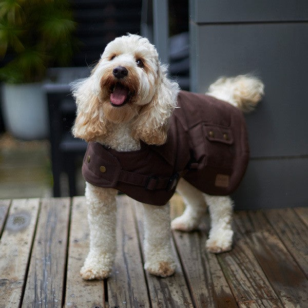 Kazoo Dog Rug Aussie Oilskin Brown [:33cm]