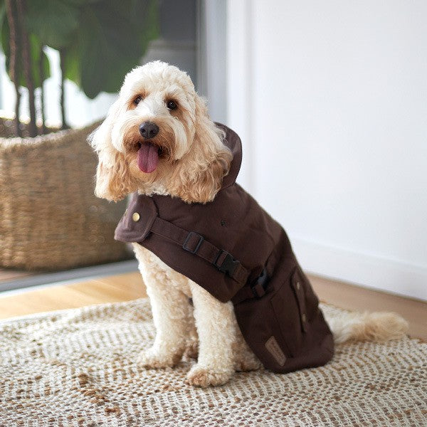 Kazoo Dog Rug Aussie Oilskin Brown [:33cm]