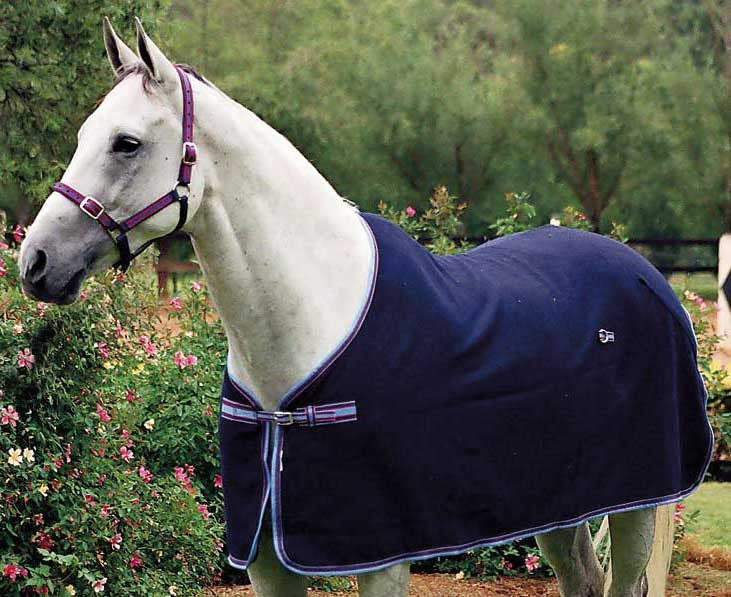 Wool Rug Zilco Defender Navy [:5'6"]