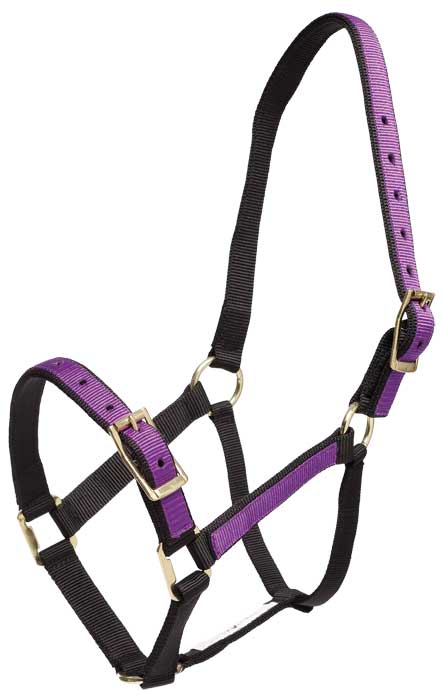 Headstall Overlay Lavender & Black [:pony]