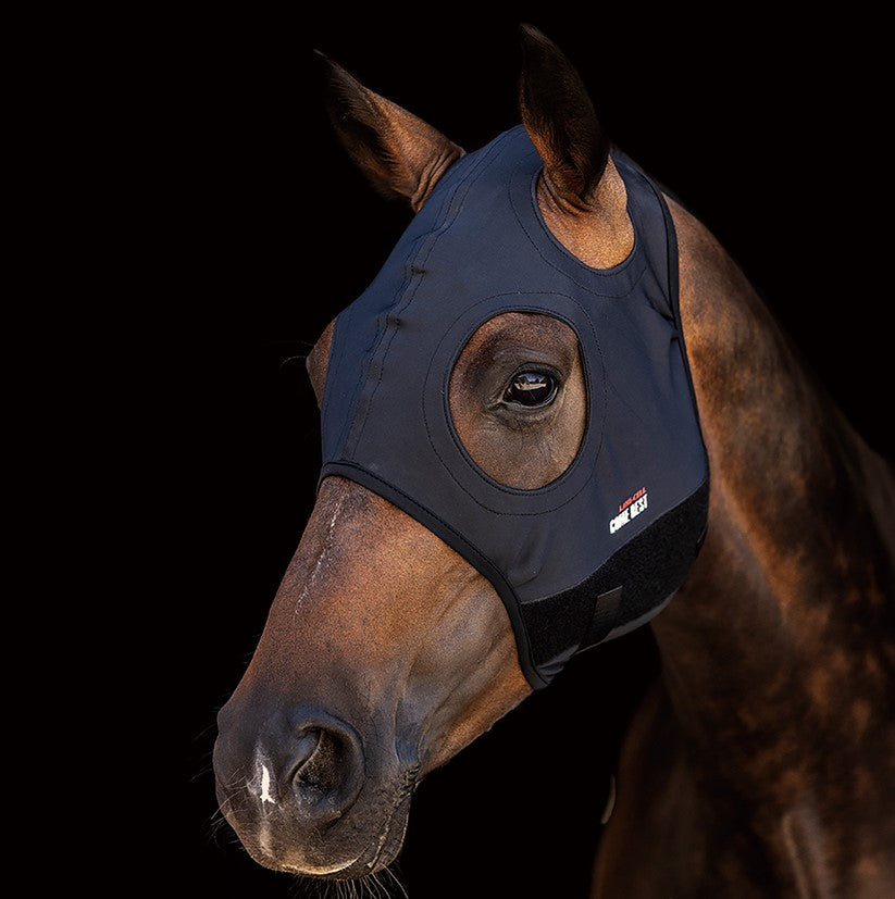 Hood Lami Cell Titanium Plain Black [:medium]