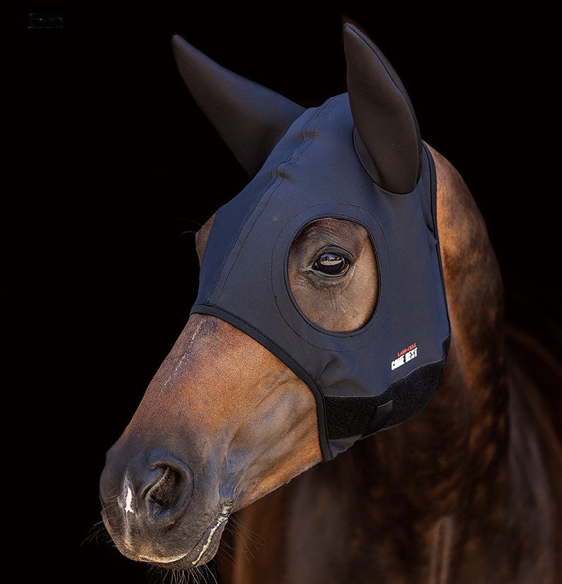 Hood Lami Cell Titanium With Ears Black [:medium]
