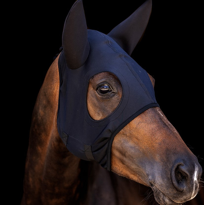 Hood Lami Cell Titanium With Ears Black [:medium]