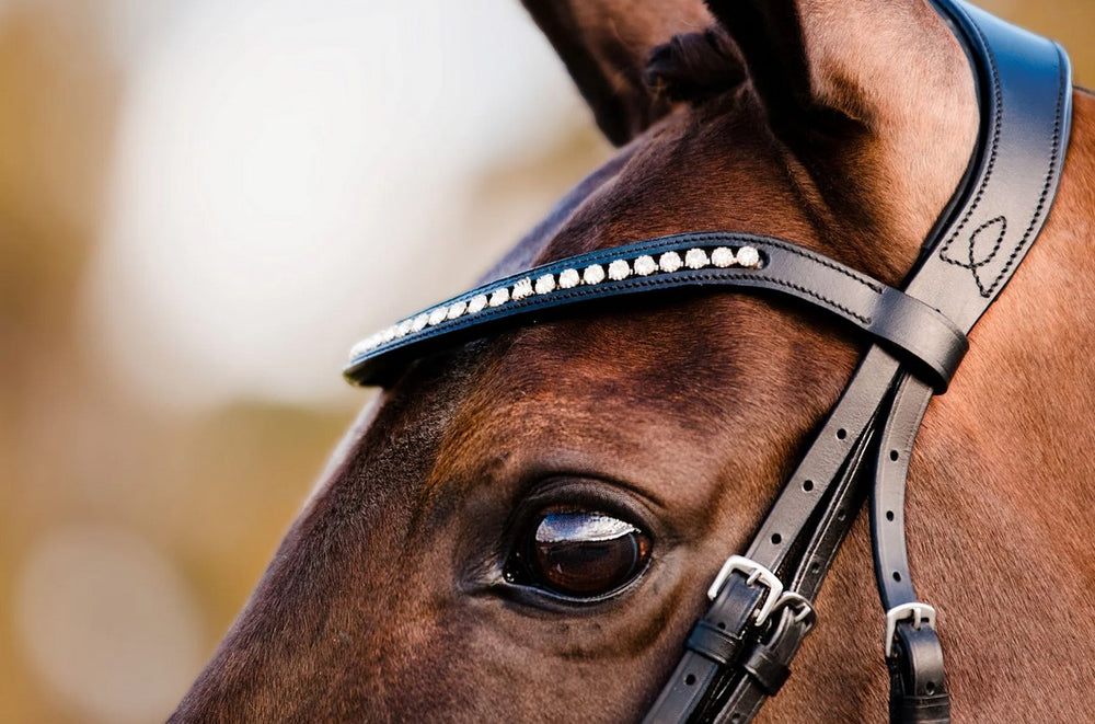 Browband Lumiere Swarovski Crystal Black Full
