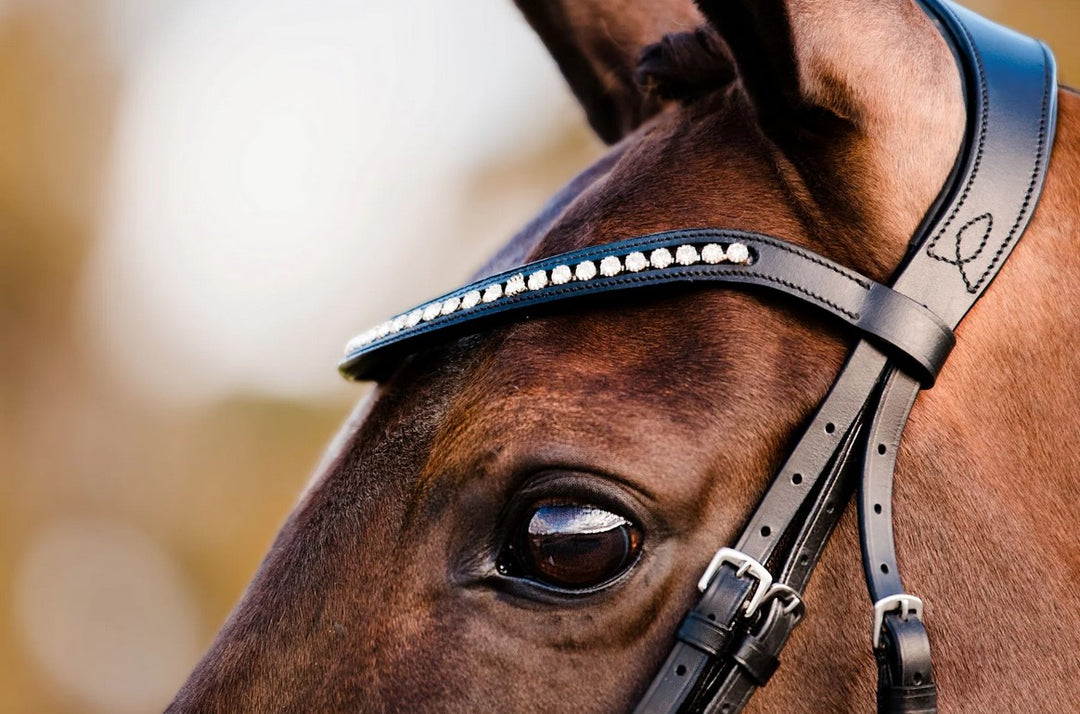 Browband Lumiere Swarovski Crystal Black Full