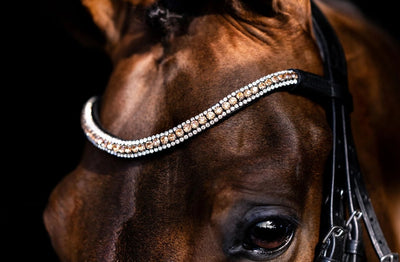 Browband Lumiere Champagne Crystal Black Full