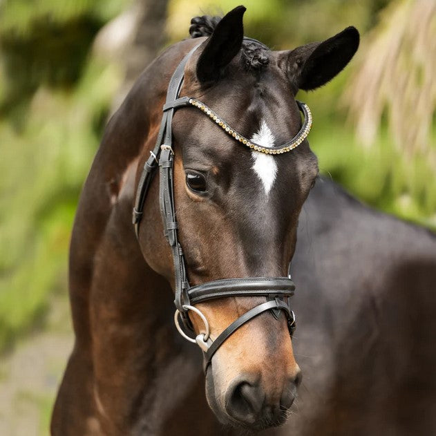 Bridle Lumiere Megan Convertible Black Warmblood
