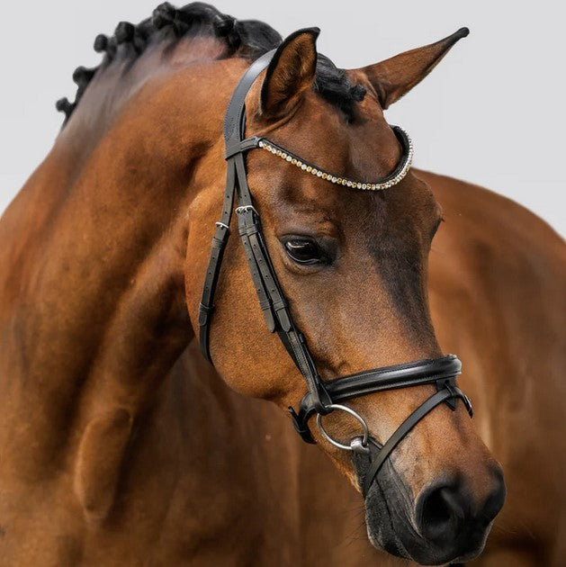 Bridle Lumiere Megan Convertible Black Warmblood