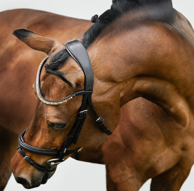 Bridle Lumiere Megan Convertible Black Warmblood