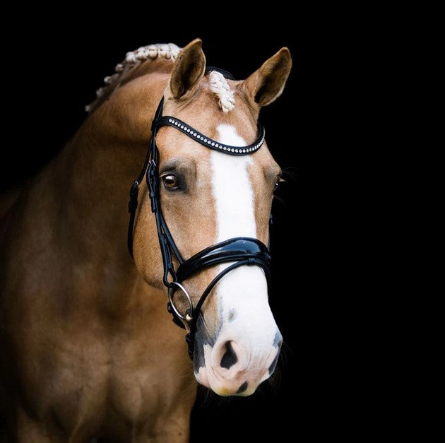 Bridle Lumiere Aurelie Hanoverian Rolled Black [:full]