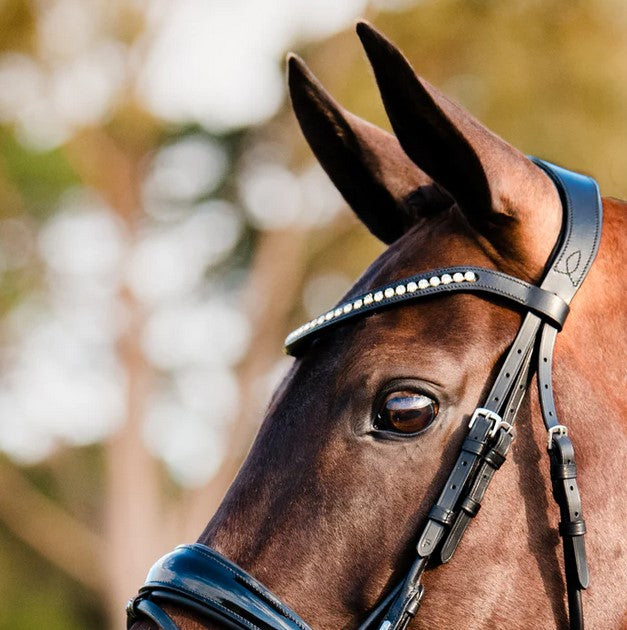 Bridle Lumiere Aurelie Hanoverian Rolled Black [:full]