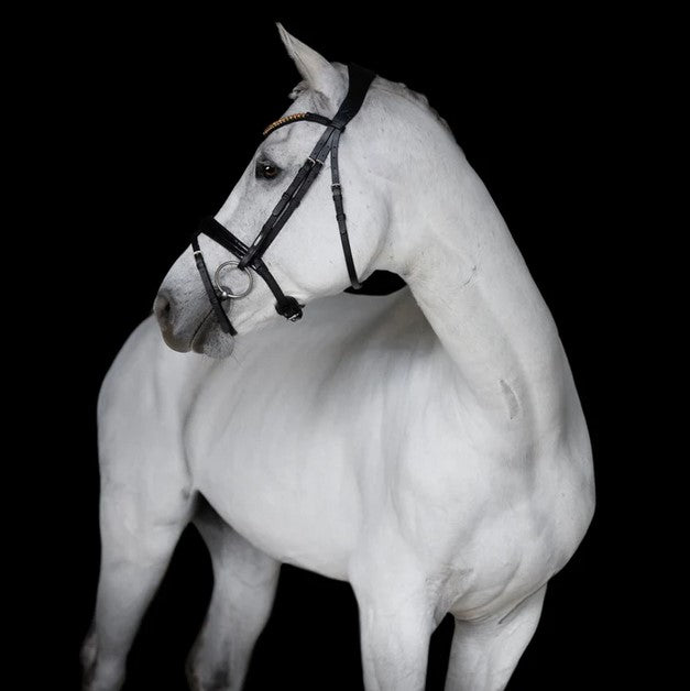 Bridle Lumiere Margaux Hanoverian Black Full
