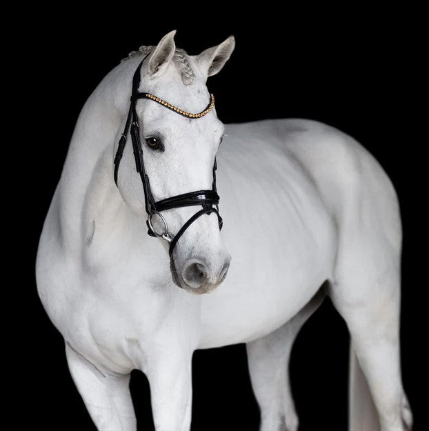 Bridle Lumiere Margaux Hanoverian Black Full