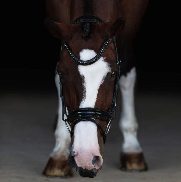 Bridle Lumiere Arcadia Hanoverian Luxury Black [:cob]