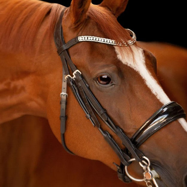 Bridle Lumiere Amie Double Luxury Black Full