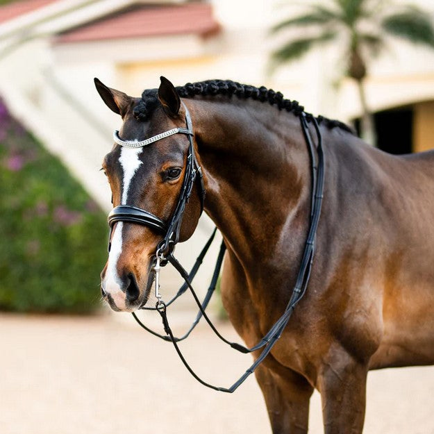 Bridle Lumiere Amie Double Luxury Black Full