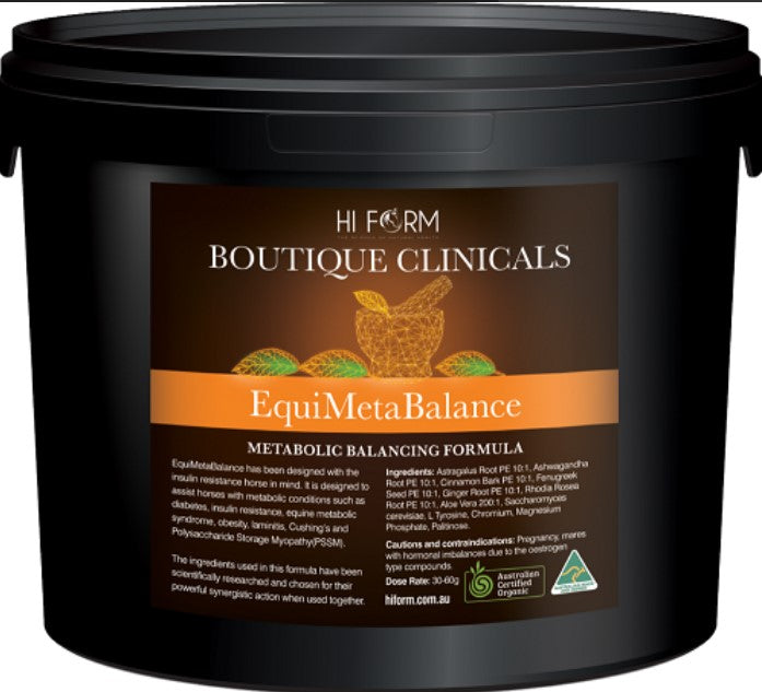 Hi Form Equi Meta Balance 1kg