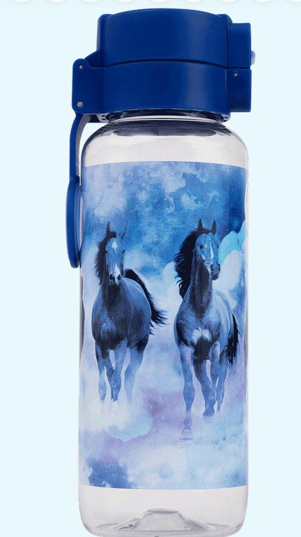 Gift Spencil Sky Dancer Water Bottle